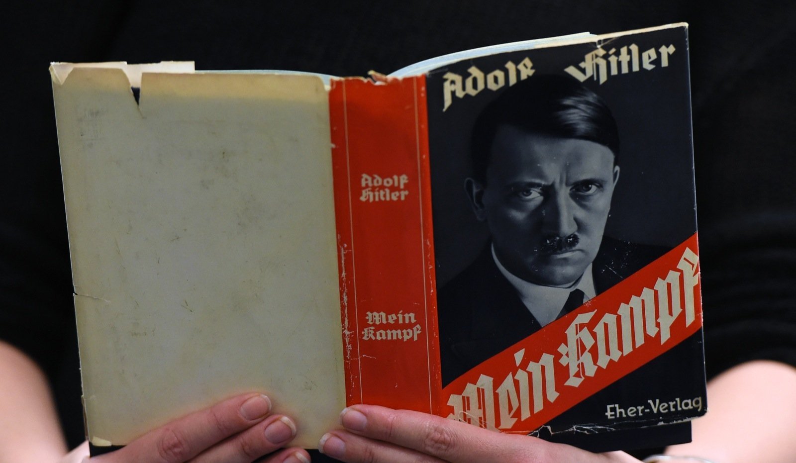 Image result for Mein Kampf