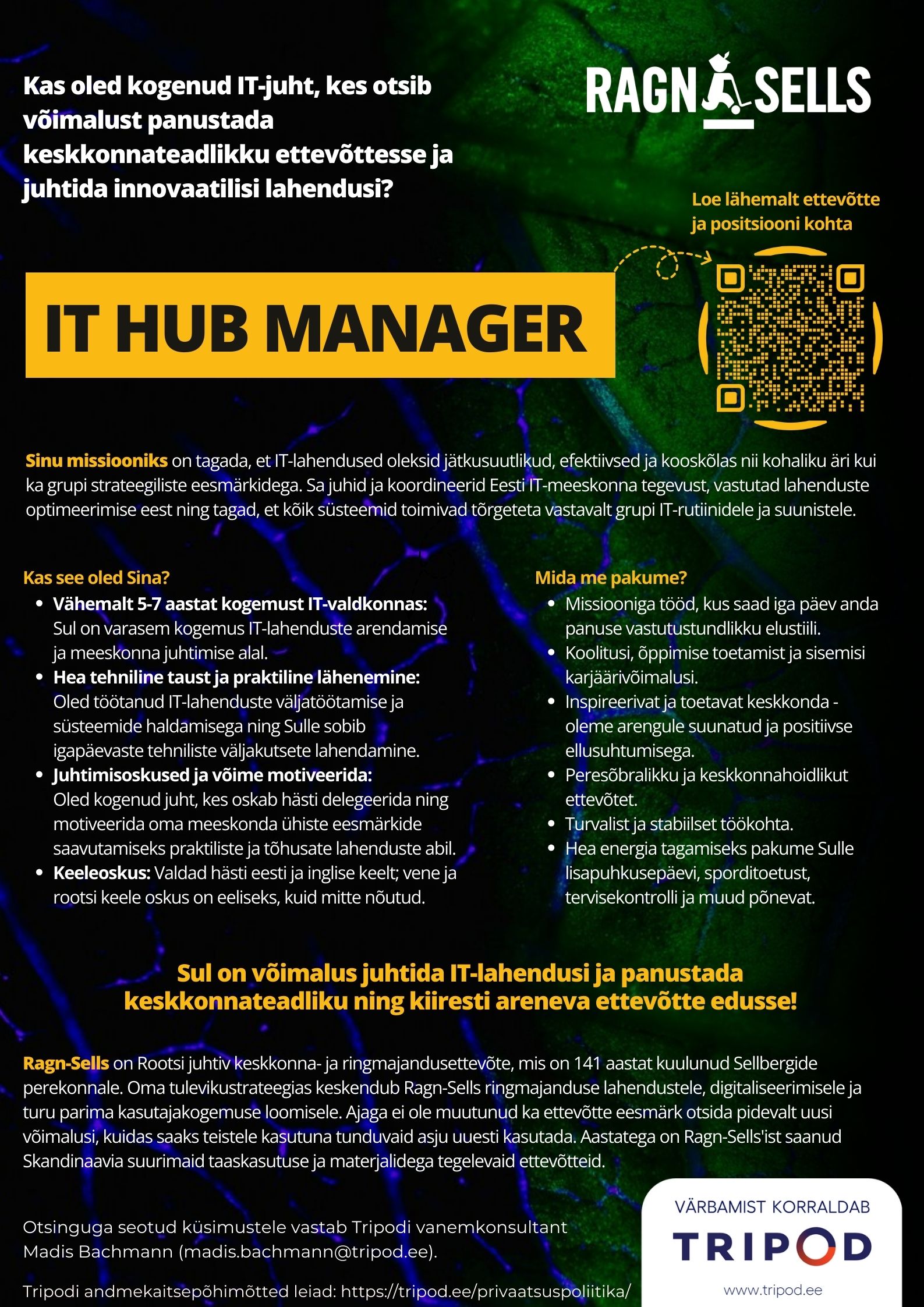 IT HUB MANAGER