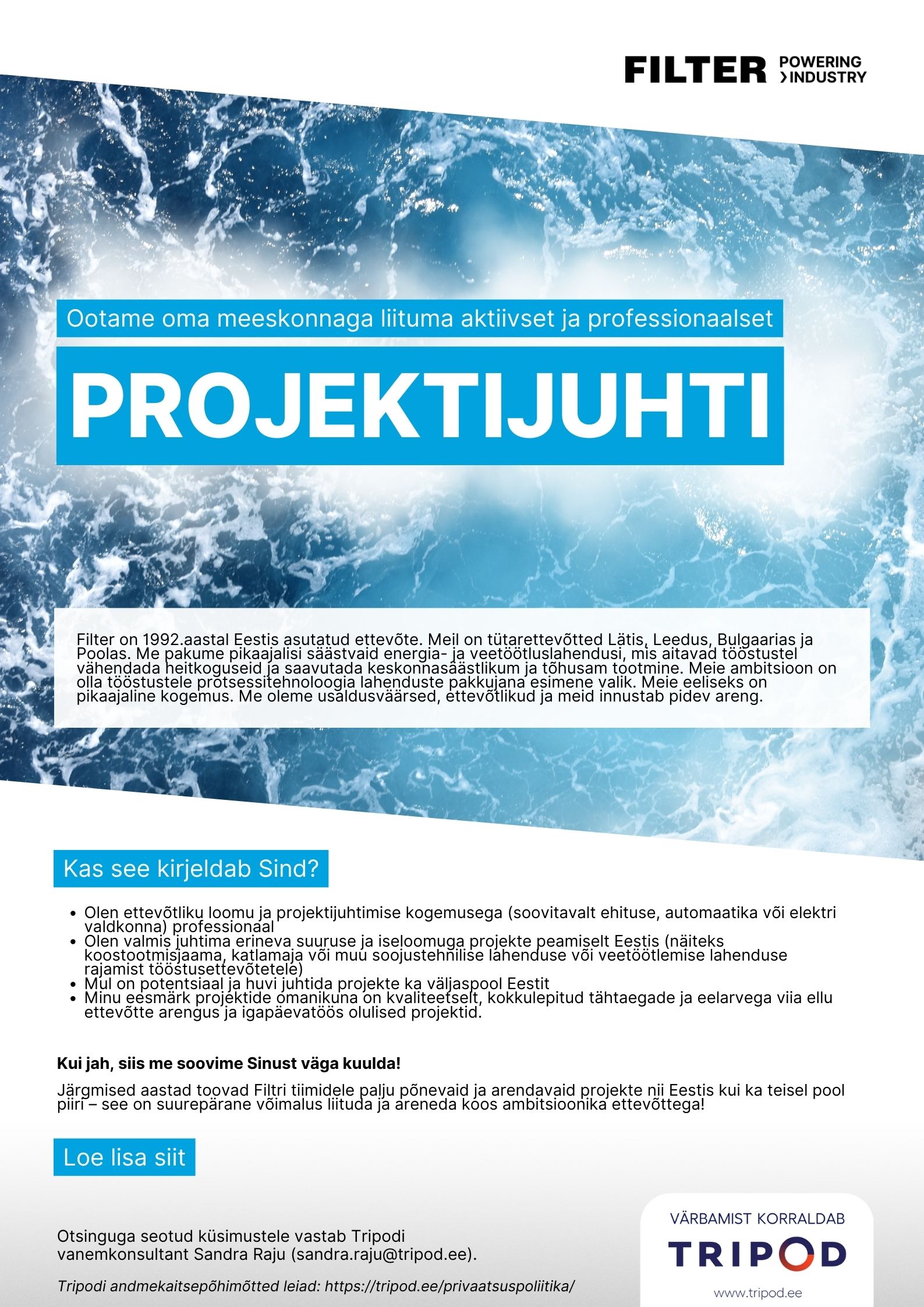 PROJEKTIJUHT