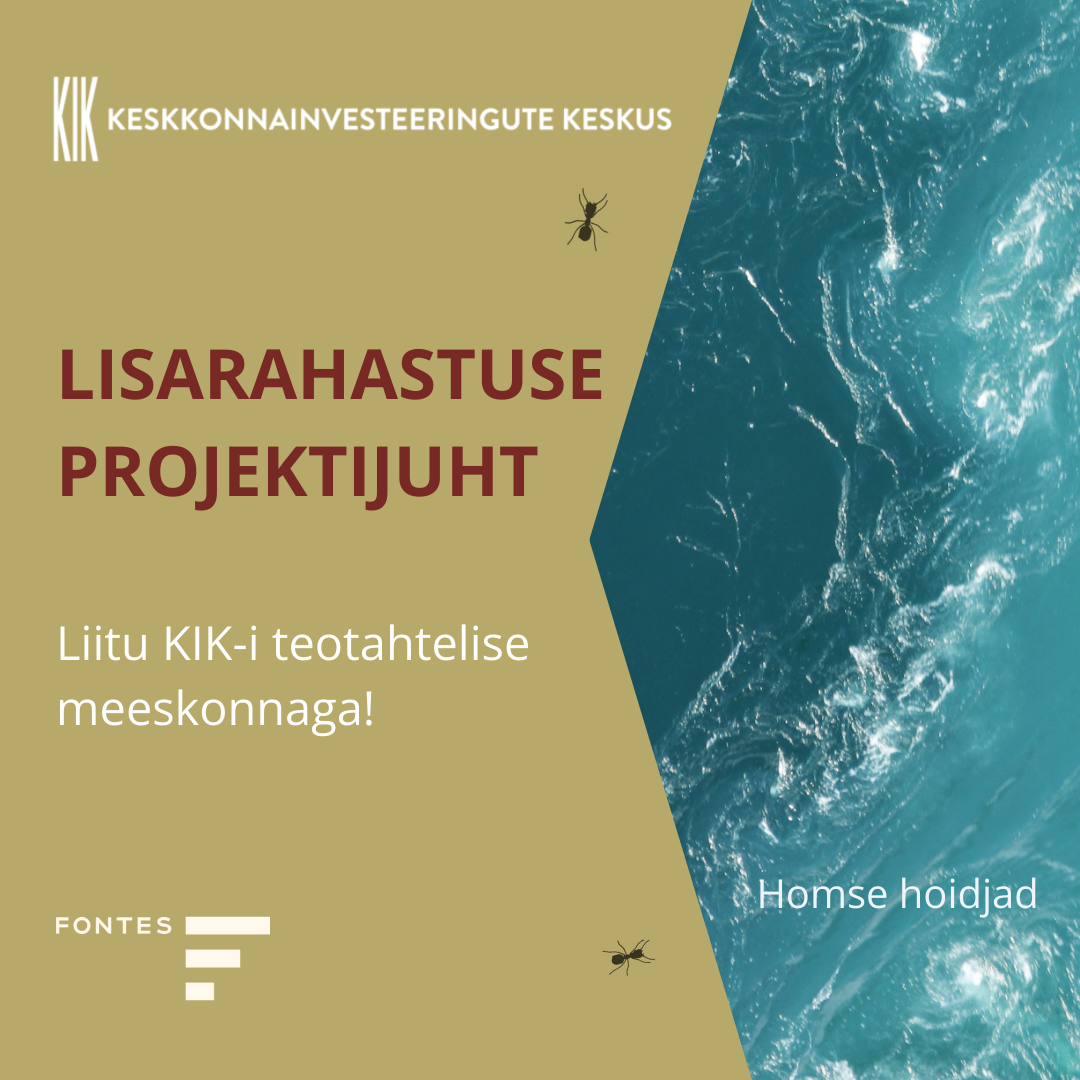 LISARAHASTUSE PROJEKTIJUHT